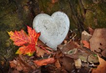 Citate de dragoste: declara-ti iubirea in cuvinte frumoase si emotionante