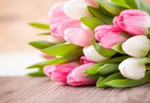 Imagini cu flori – Cele mai frumoase imagini cu flori pentru a-ti infrumuseta ziua