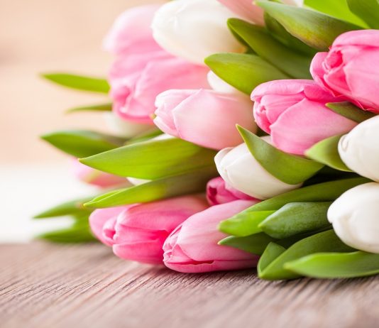 Imagini cu flori – Cele mai frumoase imagini cu flori pentru a-ti infrumuseta ziua