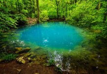Lacul Ochiul Beiului: O destinație de vis pentru iubitorii de natură și drumeții