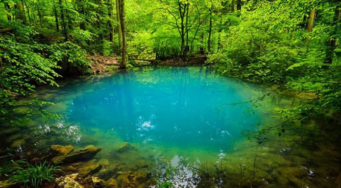 Lacul Ochiul Beiului: O destinație de vis pentru iubitorii de natură și drumeții