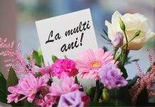 Mesaje de la mulți ani pentru a-i sărbători într-un mod unic – Inspiră-te din aceste idei de mesaje pentru a-i ura cuiva la mulți ani într-un mod original și inedit.
