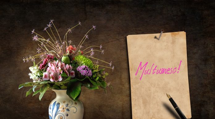 Multumesc: cuvinte simple, dar cu efecte profunde