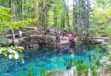 Ochiul Beiului: Descoperă frumusețea naturală a acestui lac de munte în Munții Banatului