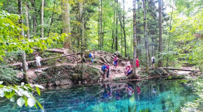 Ochiul Beiului: Descoperă frumusețea naturală a acestui lac de munte în Munții Banatului