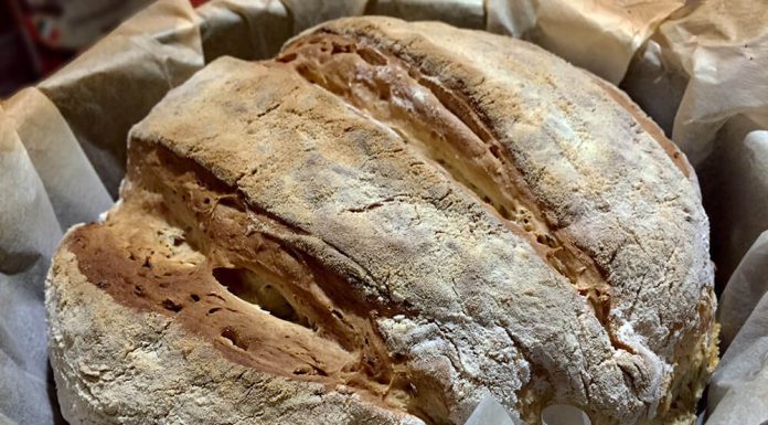 Pâine de casă: Cele mai bune și delicioase rețete de pâine de casă pentru a te bucura de gustul autentic și proaspăt
