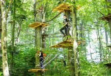 Parc Aventura Brașov: o destinație perfectă pentru o zi plină de adrenalină