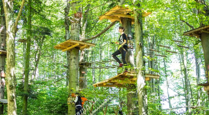 Parc Aventura Brașov: o destinație perfectă pentru o zi plină de adrenalină