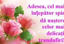 Proverbe celebre și înțelepciunea lor universală