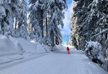 Stațiunea Straja: O destinație perfectă pentru iubitorii de sporturi de iarnă