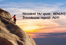 Statusuri de viață: Idei și citate inspiraționale pentru a-ți îmbunătăți starea de spirit