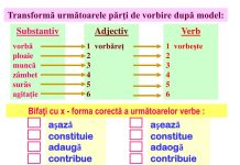 Verbul în limba română: conjugări și exemple practice