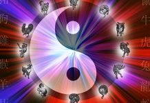 Zodiacul chinezesc: Semnificația și caracteristicile fiecărui animal din zodiacul chinezesc