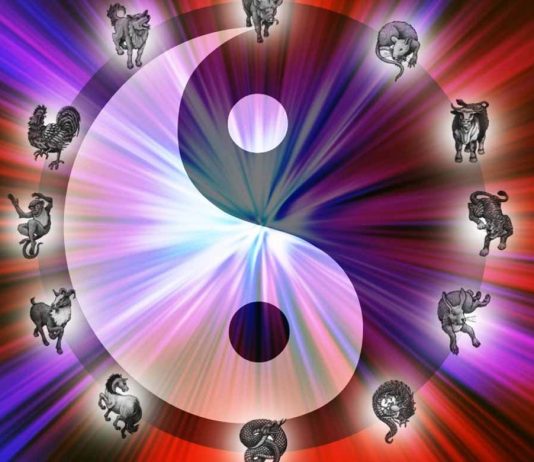 Zodiacul chinezesc: Semnificația și caracteristicile fiecărui animal din zodiacul chinezesc